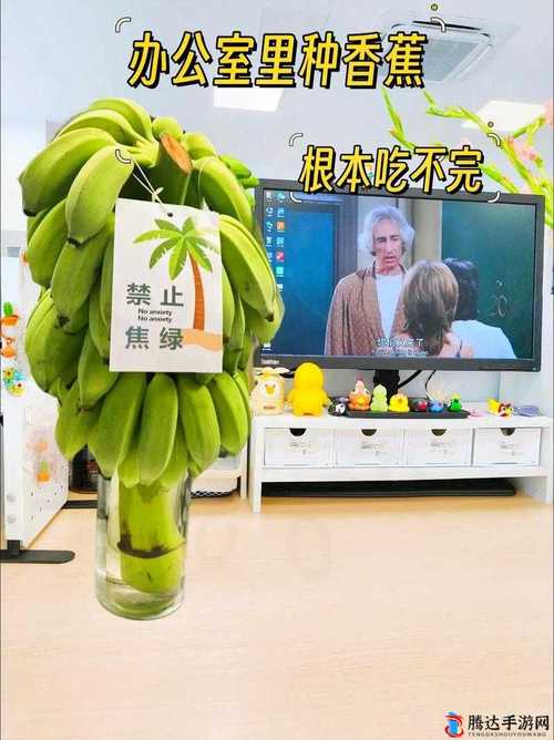 秋葵草莓香蕉绿巨人无限制观看