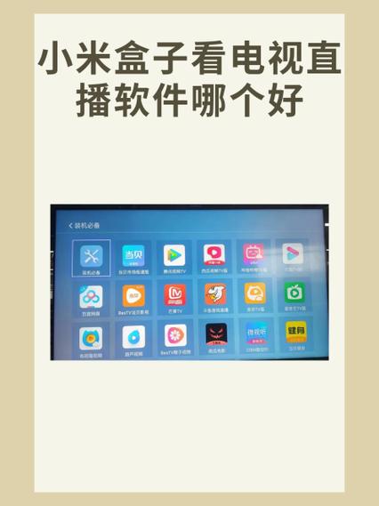 小科科视频app软件下载