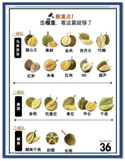 榴莲茄子香蕉丝瓜黄瓜西红柿