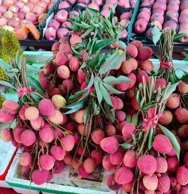 香蕉西瓜草莓荔枝视频