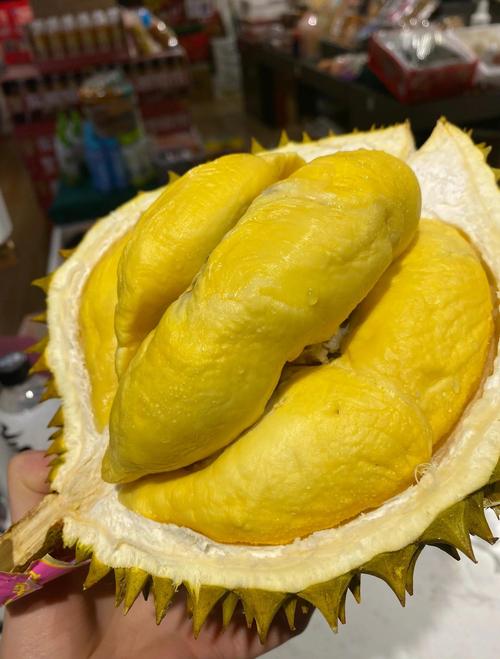 榴莲色斑让你流连忘返503