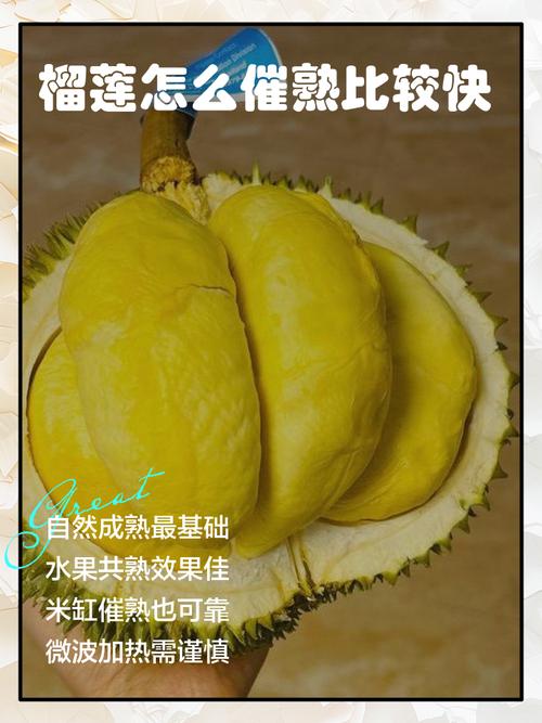 榴莲色斑让你流连忘返503