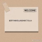 蜜芽188.coo免费永不失联