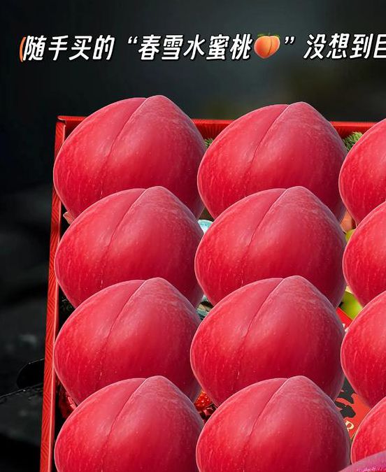 水蜜桃视频安卓版