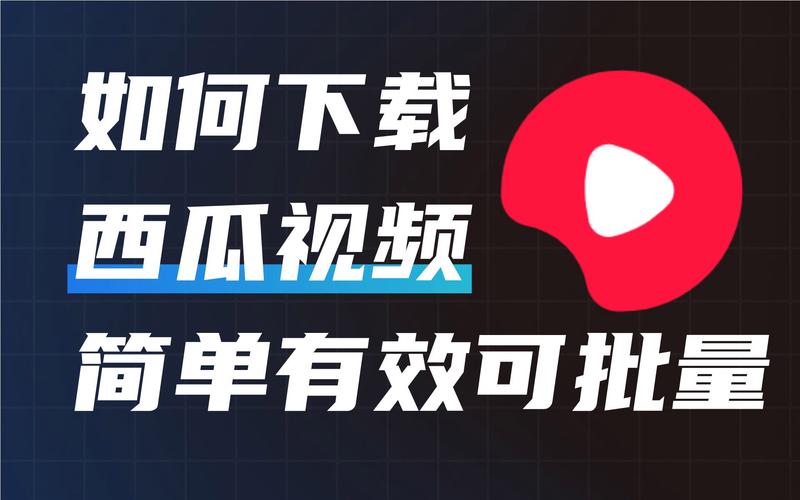 新版西瓜视频下载安装