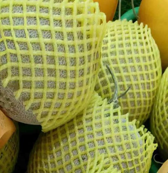 哈密瓜视频app懂你更多