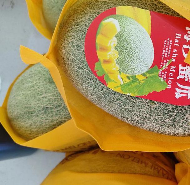 哈密瓜视频app懂你更多