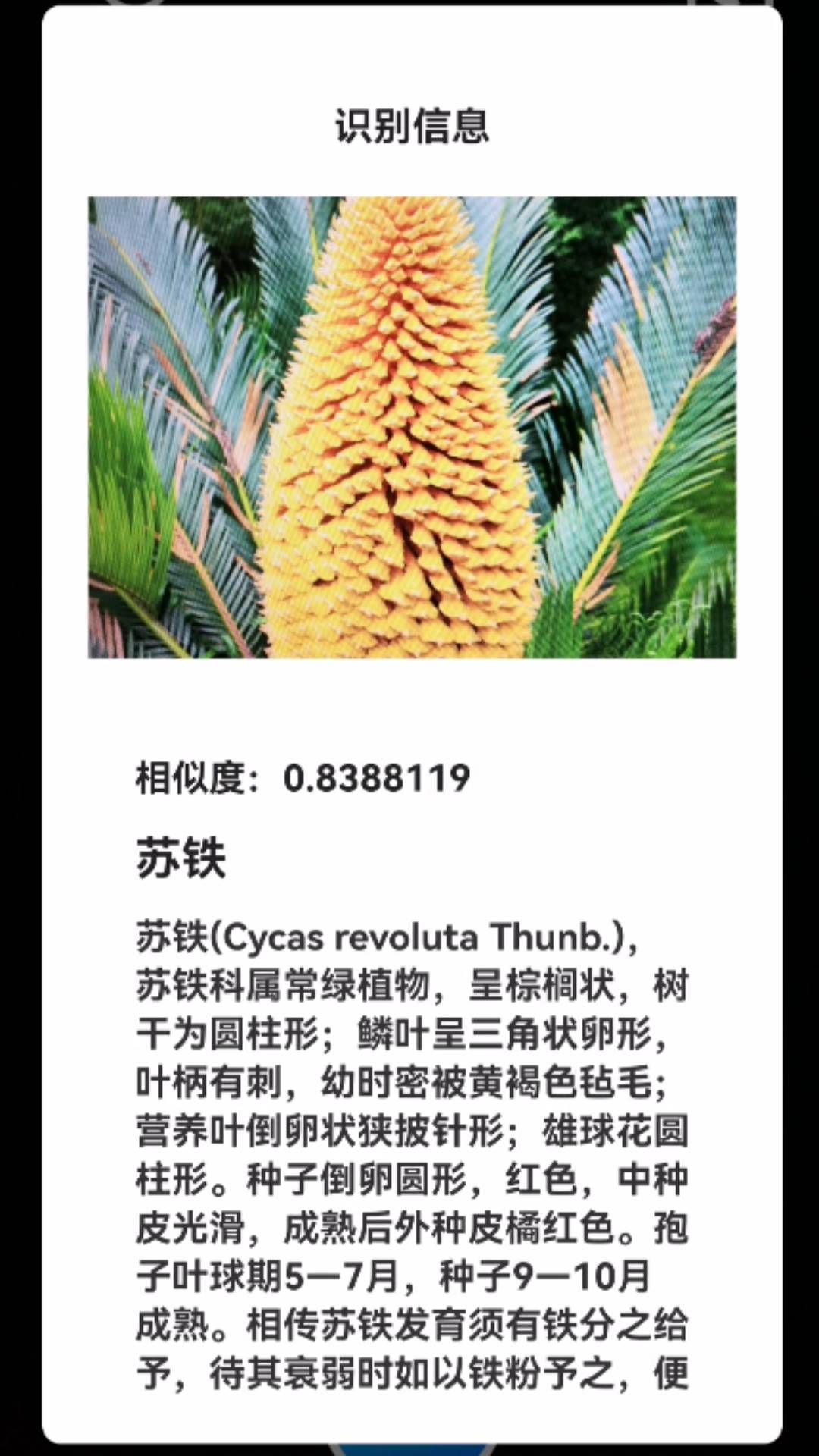 君子兰宝匣最新版