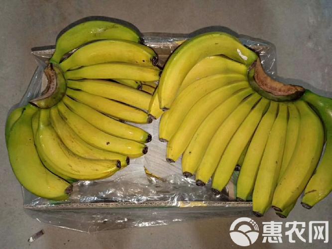 7777精品久久久大香线蕉