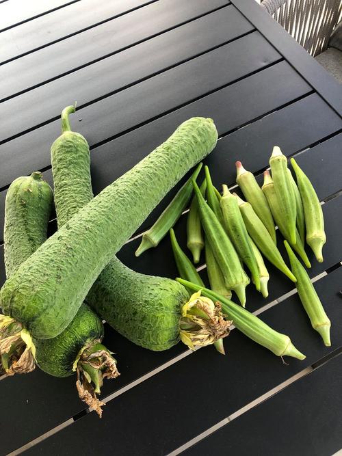 榴莲秋葵向日葵茄子丝瓜无限看