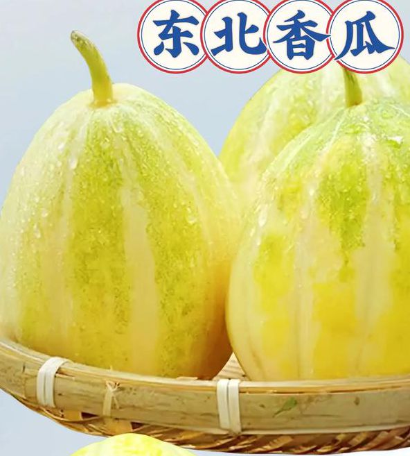 香瓜视频免费版