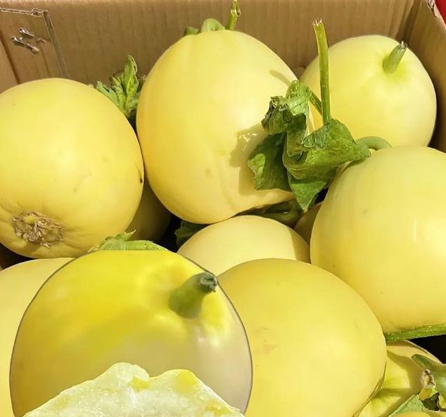 香瓜视频免费版