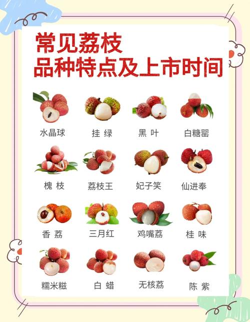 荔枝无限观看次数