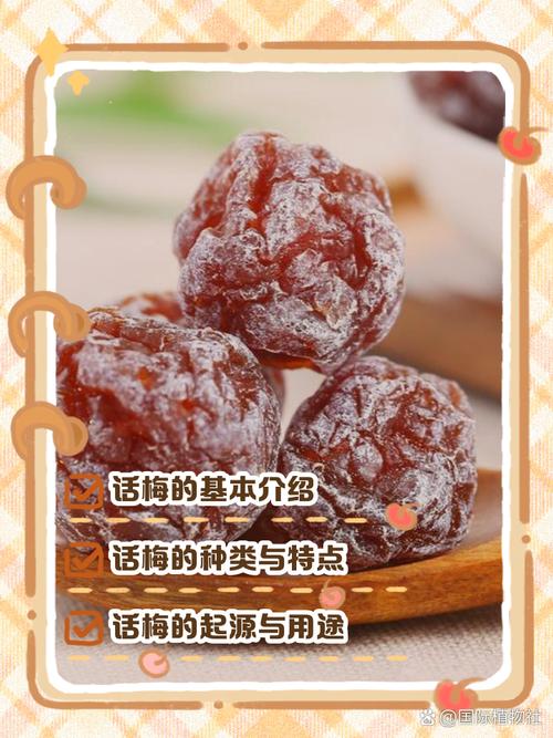 话梅下载地址入口