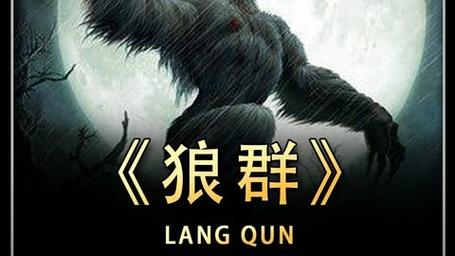 狼群社区视频WWW在线下载中文版
