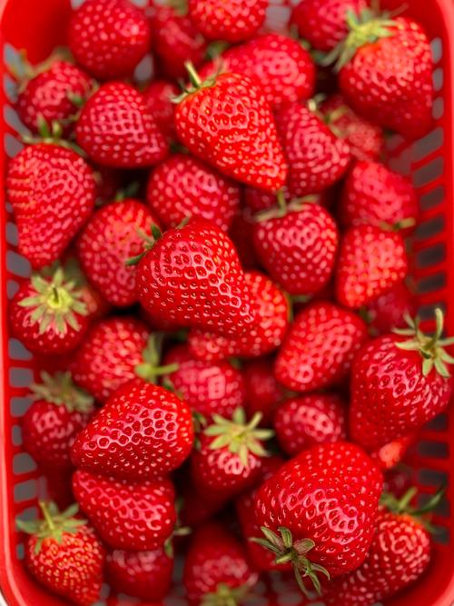 草莓.combo2.0官网