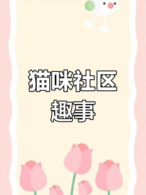 猫咪社区视频在线观看免费完整版