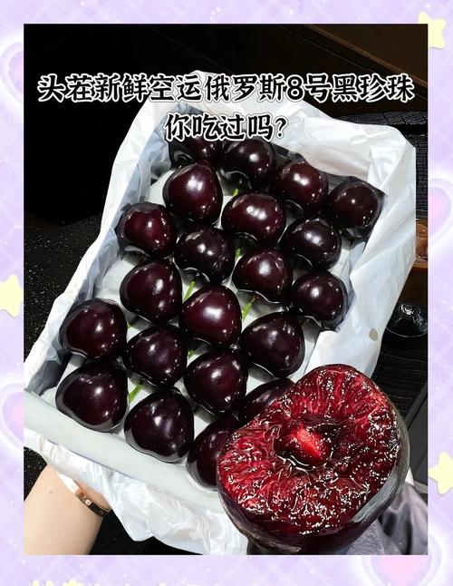 kdbacc_kdbaccapk樱桃