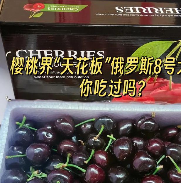 kdbacc_kdbaccapk樱桃