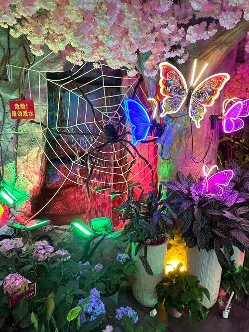 盘丝洞直播免费版