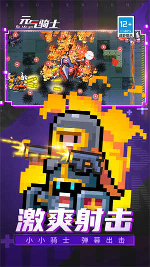 元气骑士池鹭直装版