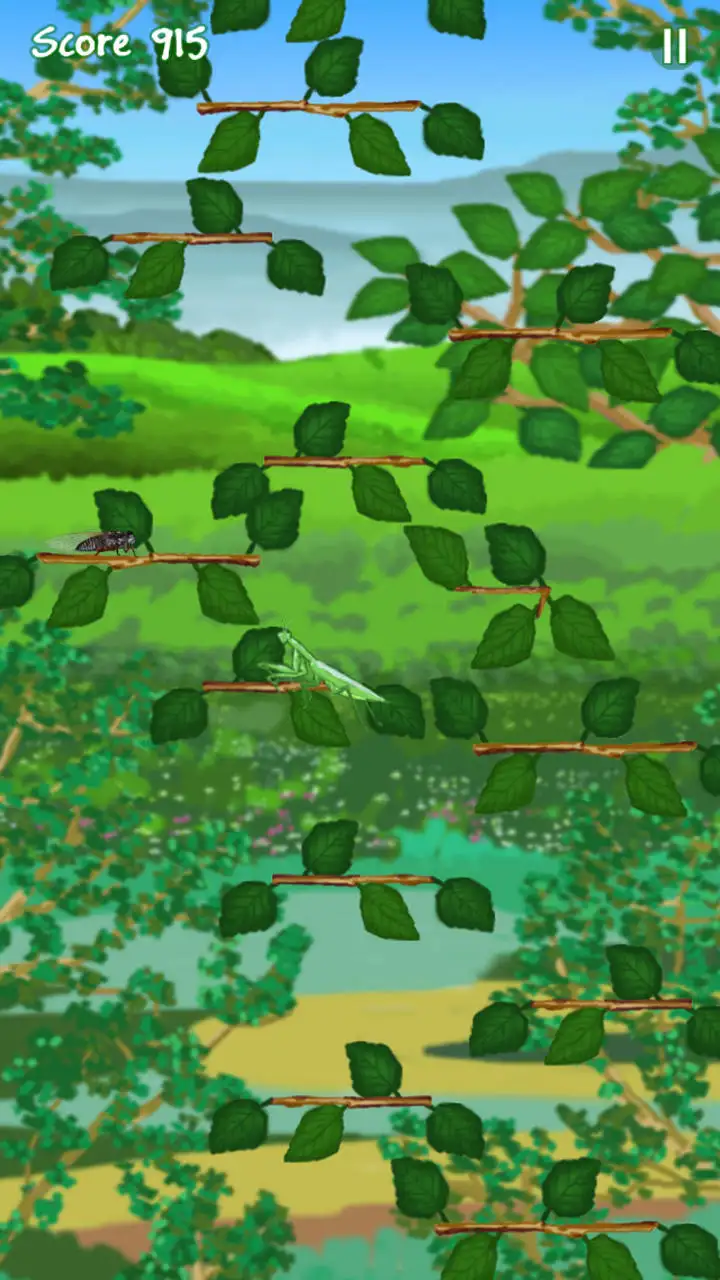 跳跃的螳螂中文版