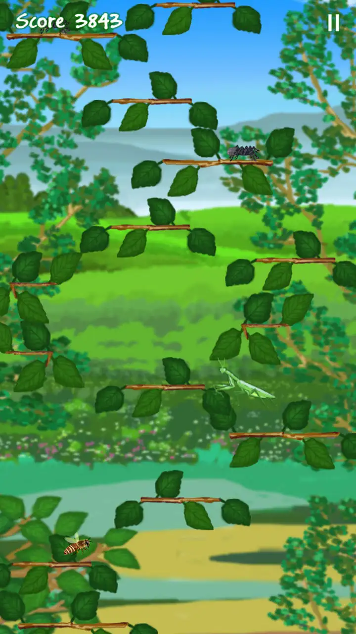 跳跃的螳螂中文版