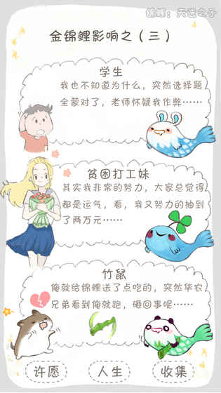 锦鲤：天选之子