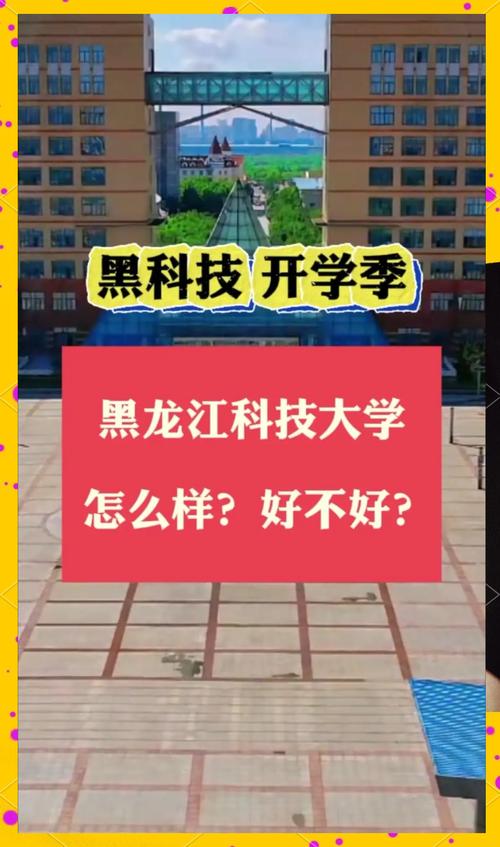 黑龙江科技大学视频百度云