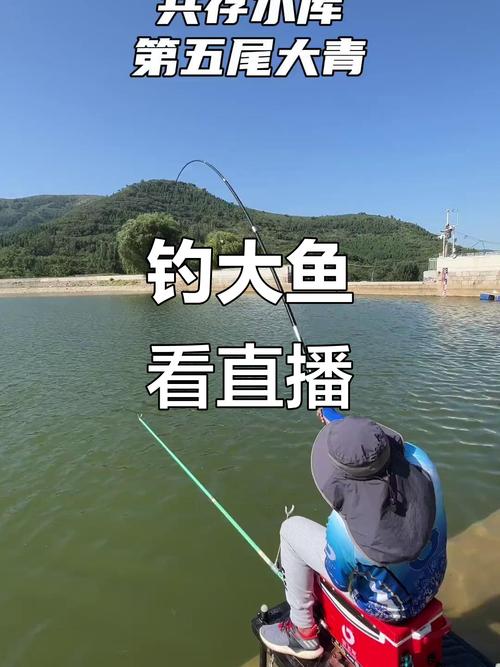 中华户外钓鱼直播