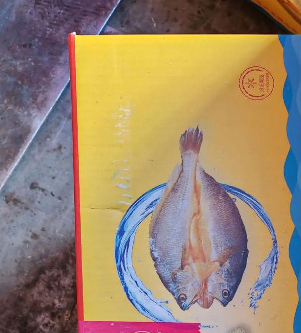 黄鱼力荐视频hx8