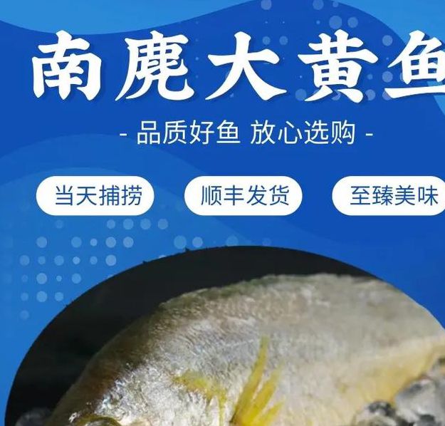 黄鱼力荐视频hx8