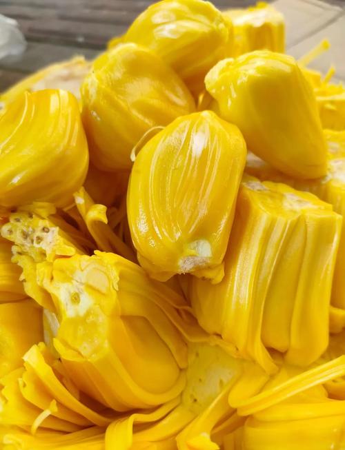 菠萝蜜视频高清下载