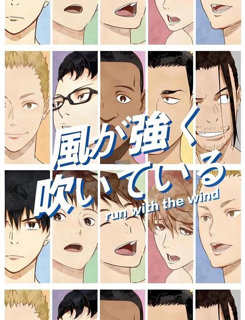 横风动漫1.3.1.5版