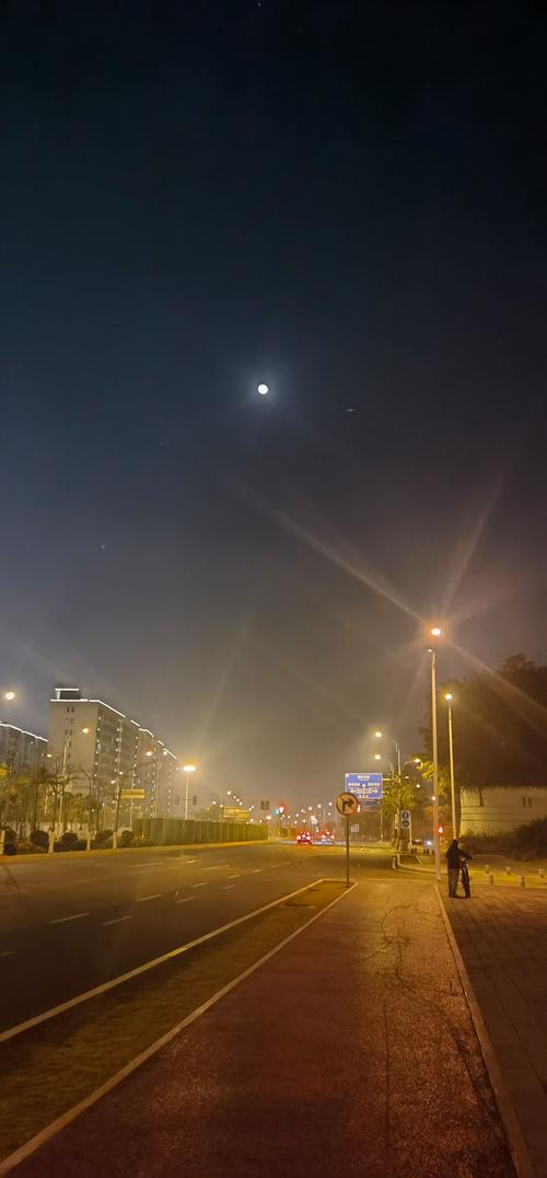 月光视频在线观看片