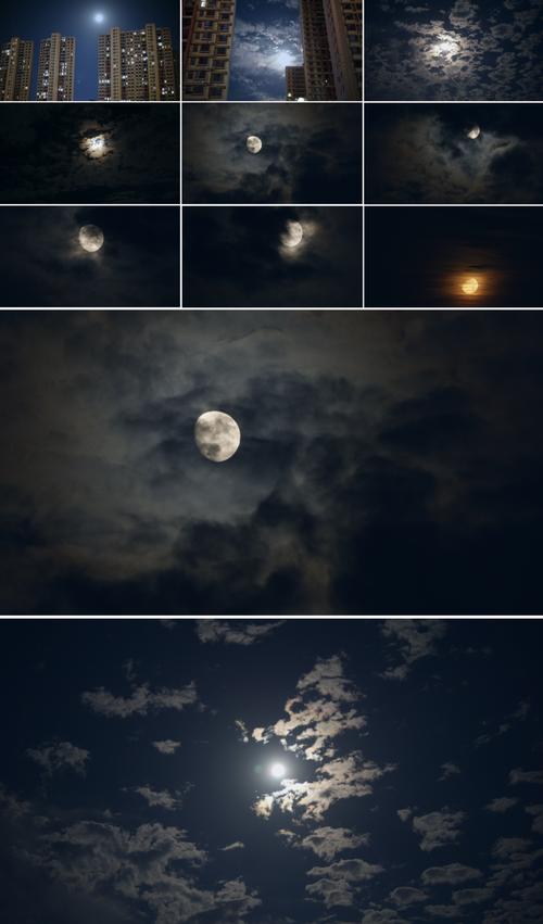 月光视频在线观看片