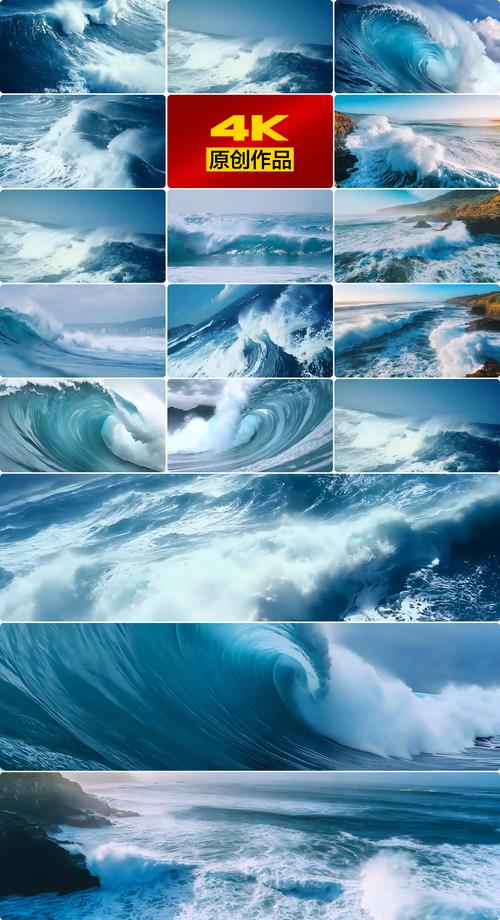 海浪视频在线观看