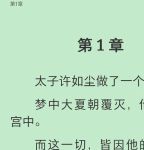 九岁小妖后txt下载