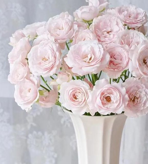 玫久热这里只有精品2