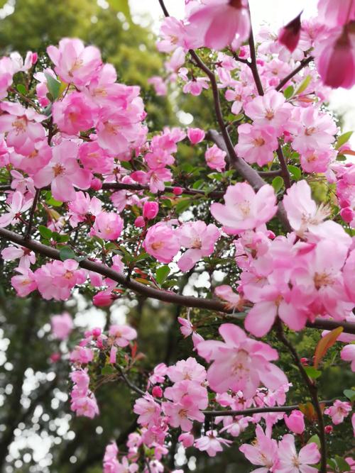 玫久热这里只有精品2