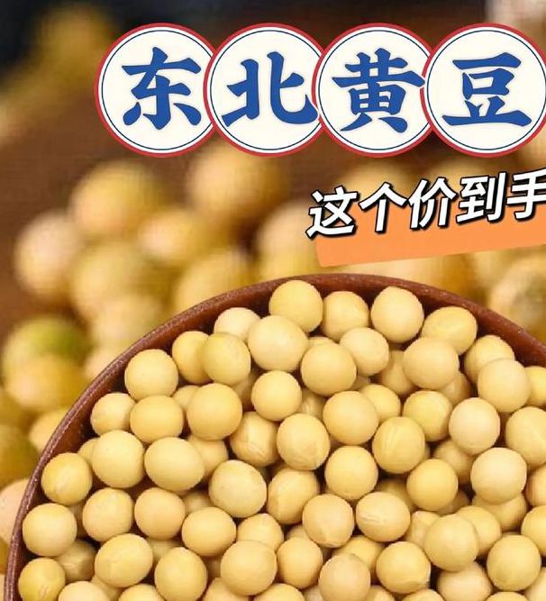 黄豆精品视频在线