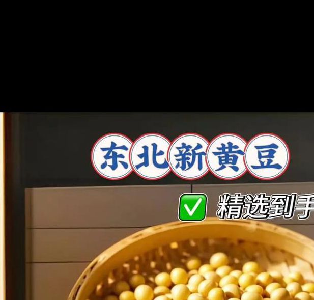 黄豆精品视频在线