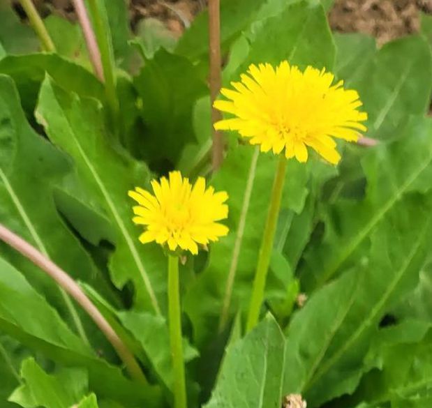 野花社区视频最新资源手机观看6