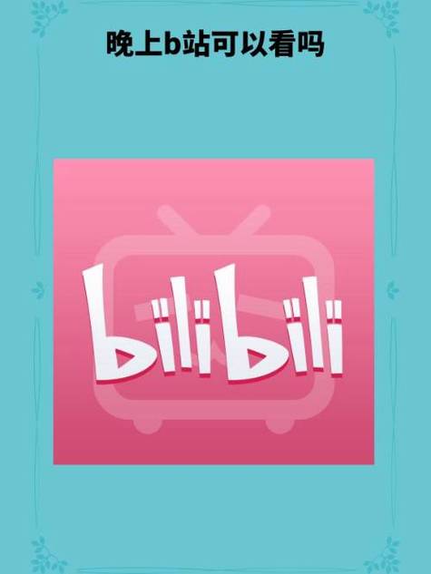 晚上睡不着偷偷看b站大全无限制版