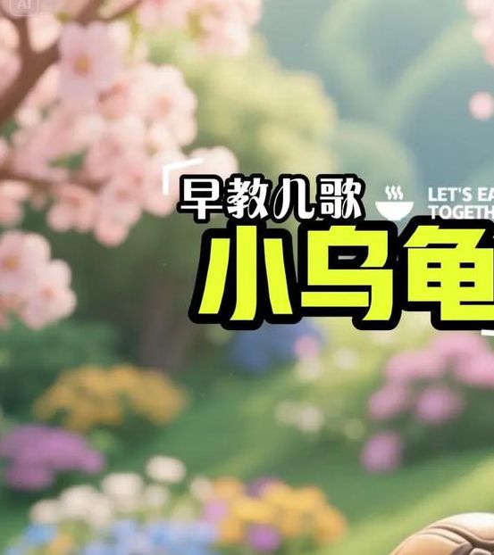 我的小乌龟想进入扇贝视频