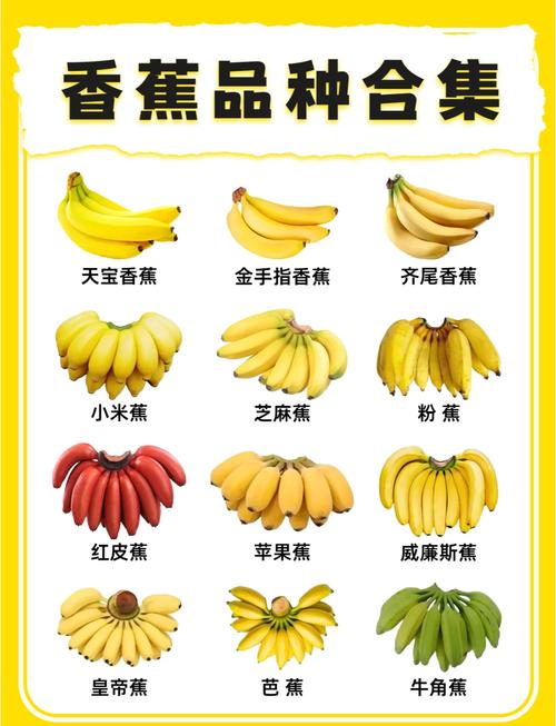 污草莓香蕉榴莲秋葵茄子