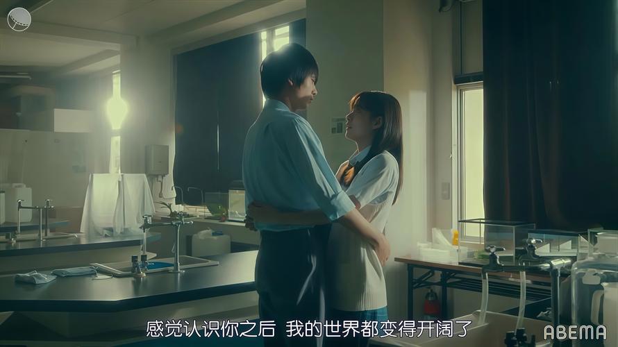 全程开车的剧从头到尾日剧