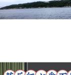 榴莲芭乐水果app幸福宝