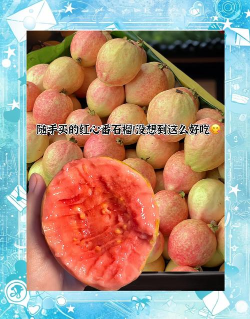 榴莲芭乐水果app幸福宝