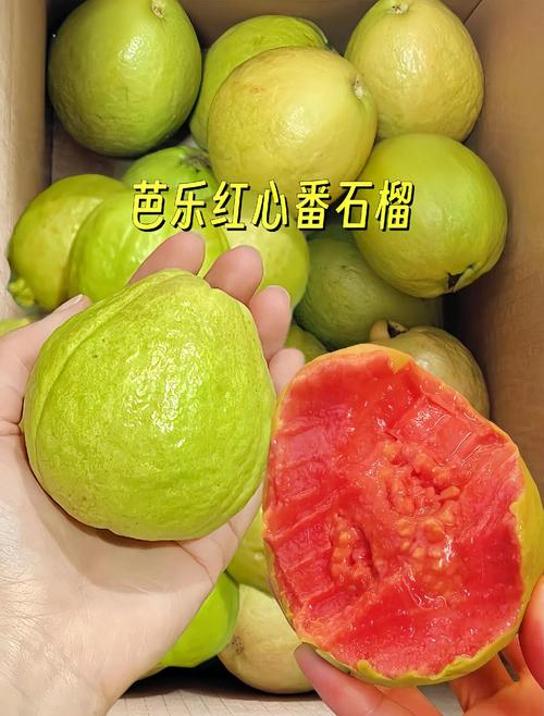 榴莲芭乐水果app幸福宝